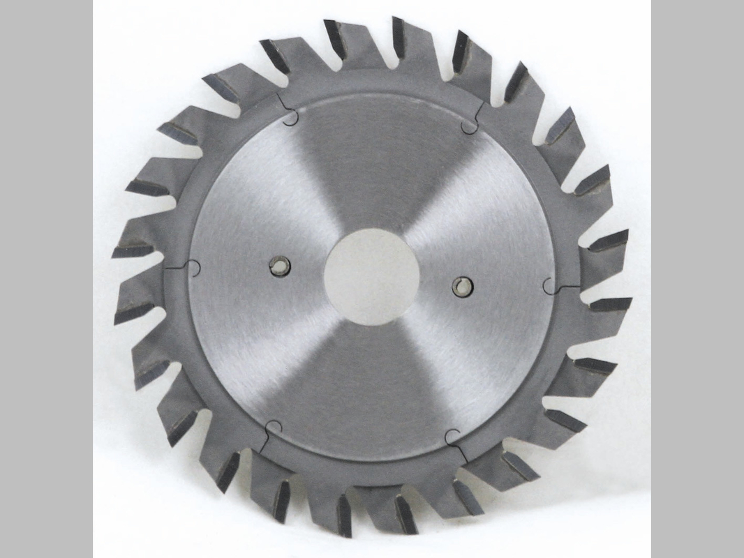 tct wood cutting saw blade Scoring  Saw Blades for sectioning machines with conical teeth from diameter 80mm up to 200mm